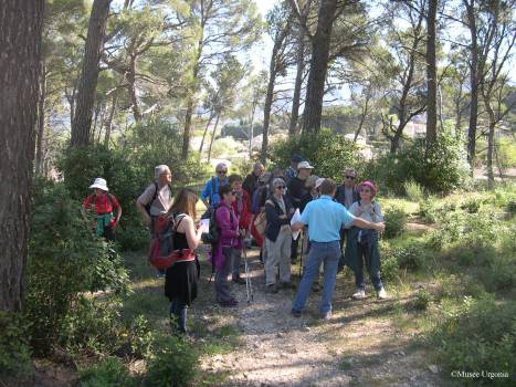 Le Sentier de la pierre - Urgonia - groupe adultes