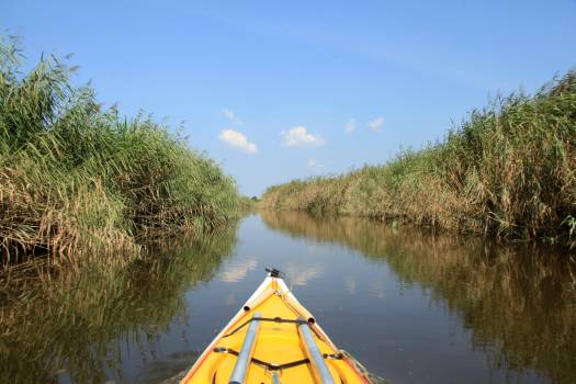 Kayak sur le delta de la Leyre