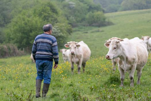 © Karine GAMBART SPIRKEL / Parc naturel régional du Morvan