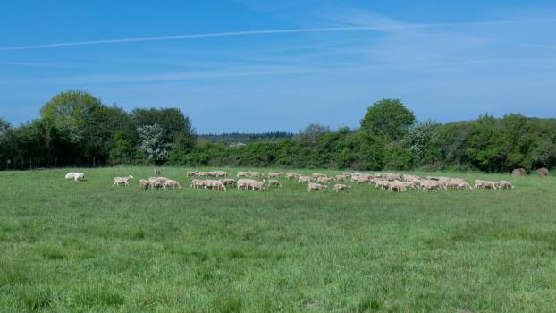 © Karine GAMBART SPIRKEL / Parc naturel régional du Morvan