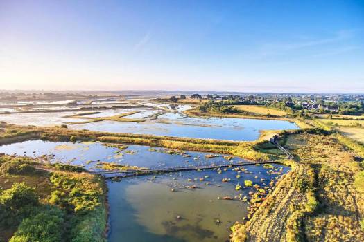 Réserve naturelle des Marais de Séné ©ALAMOUREUX