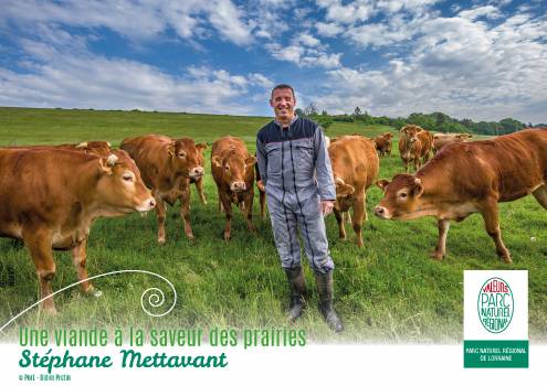 Lorraine- Viande bovine