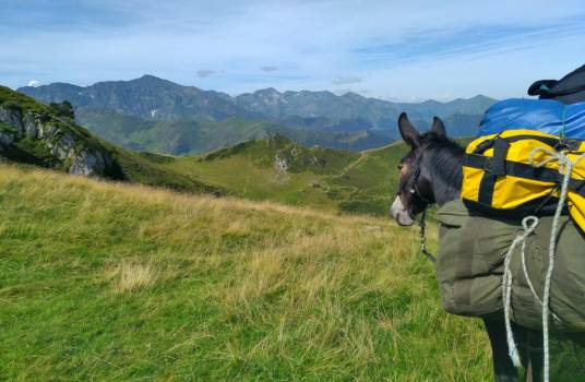 Les Mules de Soula en montagne