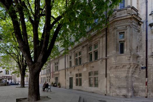 Le musée des Alpilles