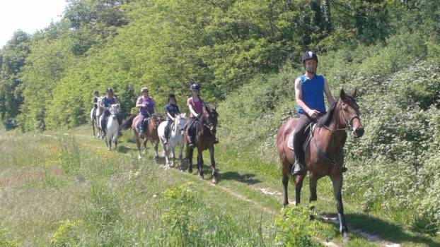 les poneys d'abord