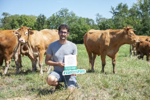 Aurélien et ses vaches 