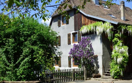 gite les marguerites Dolleren