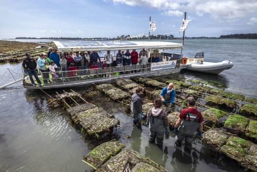 Découverte du métier d'ostreiculture