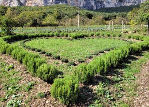 Coeur des Aromatiques de Choranche