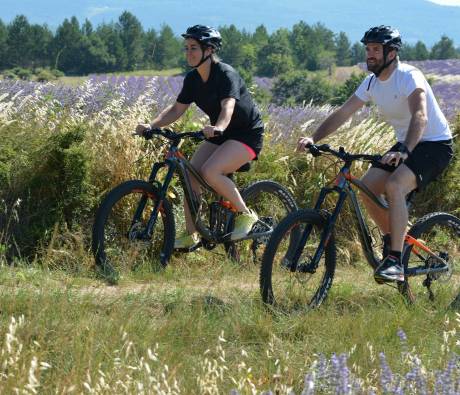 VTT pays de Sault - lavandes