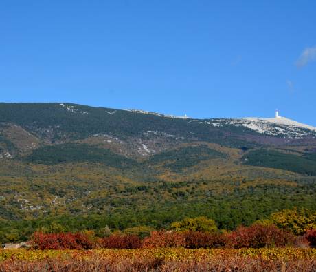 Ventoux automne - Flassan(84)