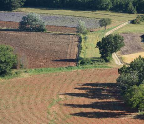 Plateau de Sault - automne