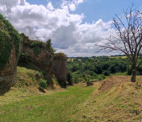 Paysage dans le PNR de la Brenne Juin 2022