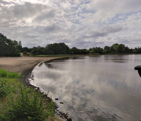 Paysage dans le PNR de la Brenne Juin 2022