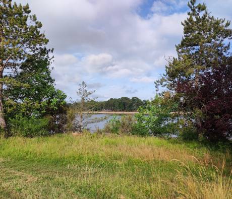 Paysage dans le PNR de la Brenne Juin 2022