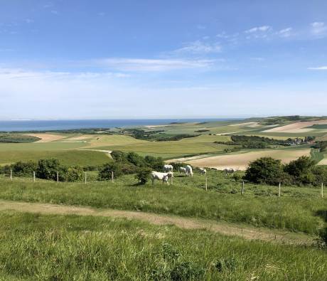 Paysage du PNR Caps et Marais d'Opale