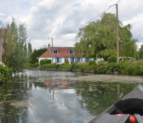 Marais du PNR Caps et Marais d'Opale