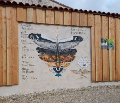 Toise au Parc des oiseaux du Marais poitevin