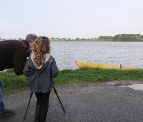 Ornithologie - PNR Golfe du Morbihan