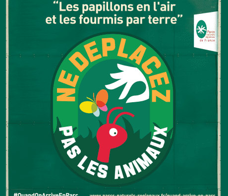 Ne déplacez pas les animaux