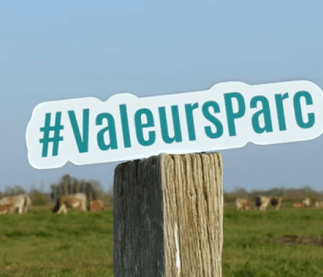 Vidéo la marque Valeurs Parc naturel régional dans le Marais poitevin