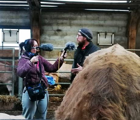 Podcast "L'écho de nos valeurs" en Aubrac : enregistrement dans l'étable de Ludovic