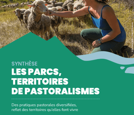 Les Parcs, territoires de pastoralisme