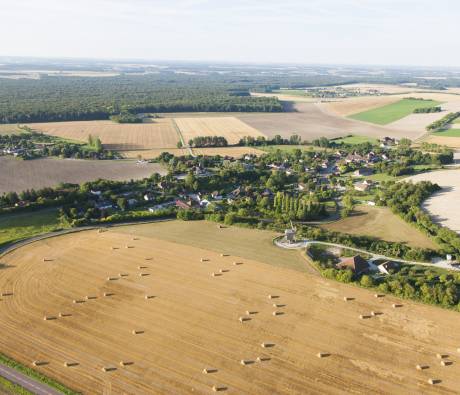 Champagne crayeuse en Forêt d'Orient