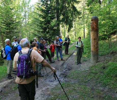 © PNR Massif des Bauges