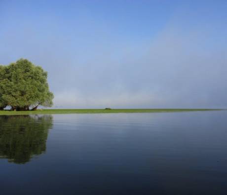 Brume matinale sur le Lac d'Orient