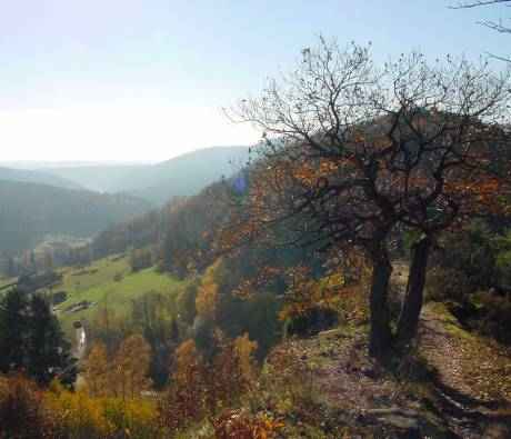 Vue sur Windstein ©‎ PNR Vosges du Nord