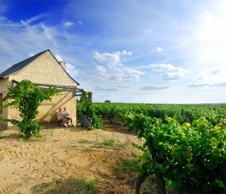 Loge de vigne © Christophe Petiteau