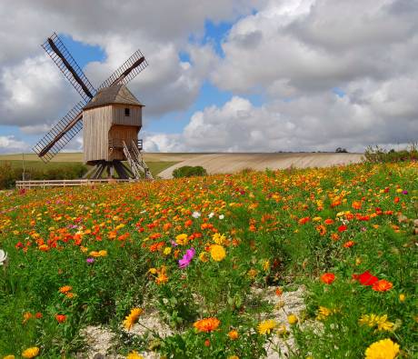 Moulin de Dosches