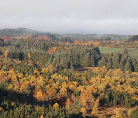 Paysage d'Automne aux Sources de la Vienne en Corrèze