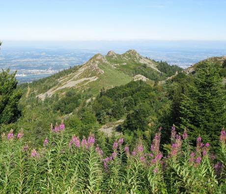 Les 3 dents © Florence COSTE / Parc naturel régional du Pilat