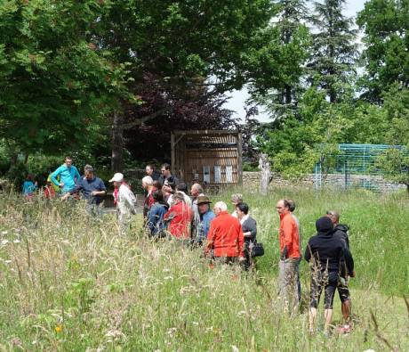 Portes ouvertes abeilles dans le jardin de la Maison du Parc du Pilat