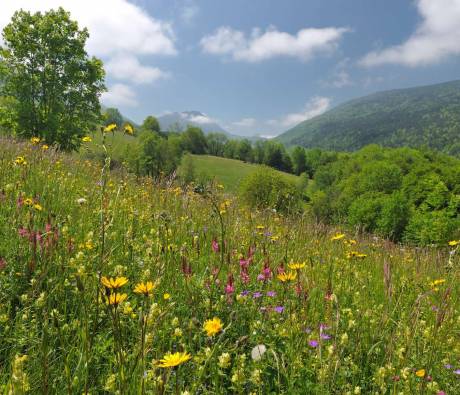 © PNR Massif des Bauges