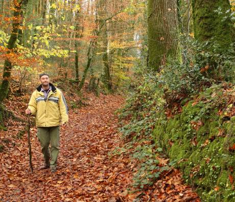 Randonneur en forêt- PNR Golfe du Morbihan