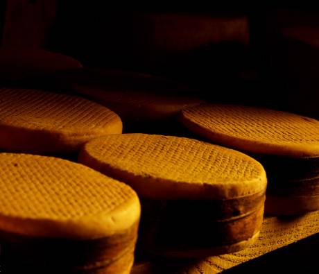 Fromage fermier Parc Pyrénées Ariégeoises