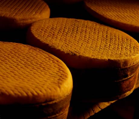 Fromage fermier Parc Pyrénées Ariégeoises