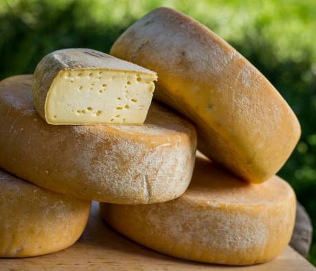 Tomme des Pyrénées au lait cru