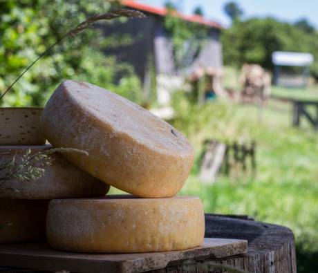 Fromage fermier Parc Pyrénées Ariégeoises