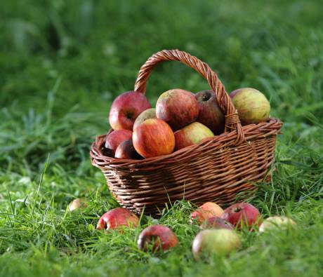 Pommes du Parc des Pyrénées Ariégeoises