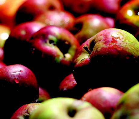 Pommes du Parc des Pyrénées Ariégeoises
