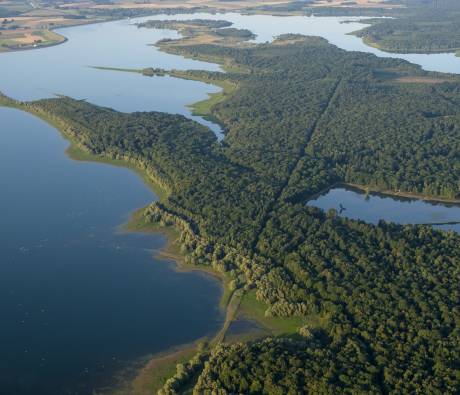 Réserve Naturelle Nationale de la Forêt d'Orient