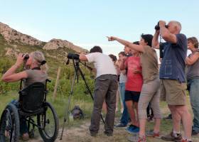 Bureau des guides naturalistes - visite dans les Alpilles 2