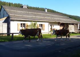 En été ©Ecomusée Maison Michaud