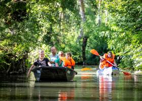 Promenade en barque dans le Marais poitevin