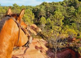 Provence Hipposervice