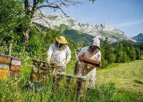 La Miellerie du Vercors, Cyril et Emilie à l'oeuvre